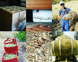 New Patatsfontein release & exciting Colombard
