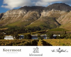 Wine tasting – Upper Blaauwklippen Road Vintners