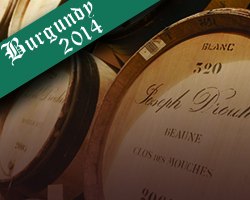 Burgundy 2014 – Upcoming tasting and top picks