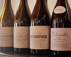 Sadie Family Wines 2017 releases