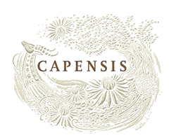 Consumers have voted for SA’s top luxury white wine – Capensis 2014