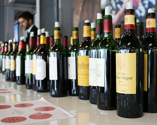 Discover Bordeaux 2017
