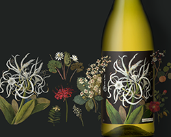 ‘This now richly deserves SA icon status’ – Platter’s 2019