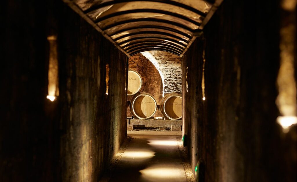Joseph Drouhin 2020s - Wine Cellar Plus