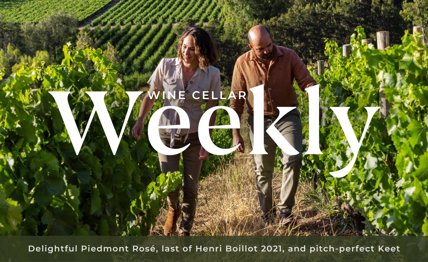 Delightful Piedmont Rosé, last of Henri Boillot 2021, and pitch-perfect ...