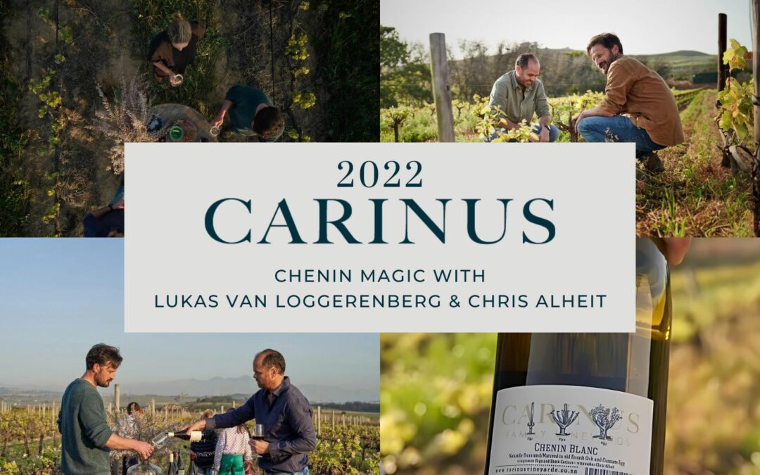 Carinus 2022s: Chenin magic with Lukas Van Loggerenberg & Chris Alheit