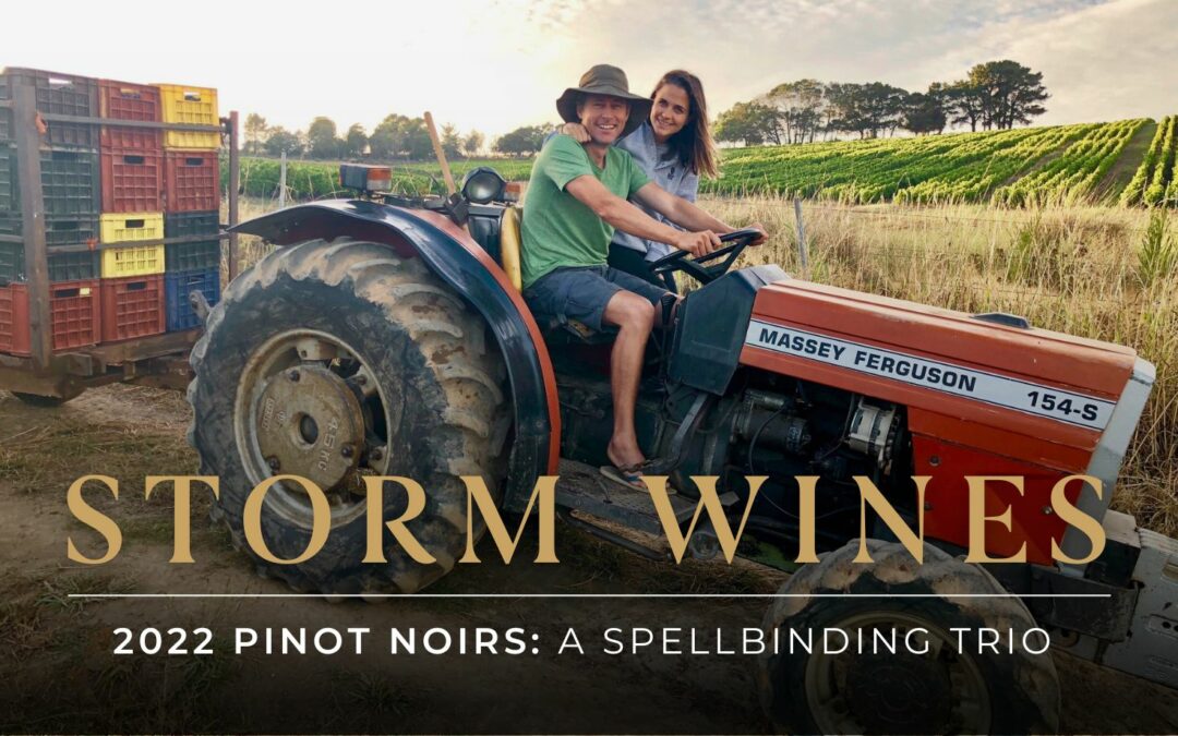 Storm 2022 Pinot Noirs: A spellbinding trio