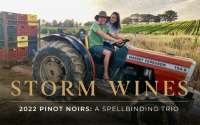 Storm 2022 Pinot Noirs: A spellbinding trio