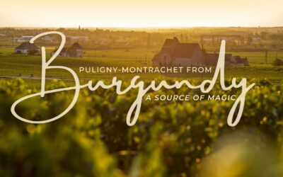 Puligny-Montrachet from Burgundy: A source of magic