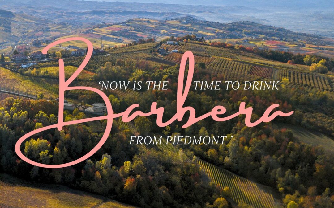 ‘Now is the Time to Drink BARBERA from Piedmont’ – Wine Enthusiast