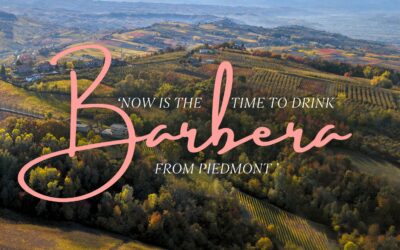 ‘Now is the Time to Drink BARBERA from Piedmont’ – Wine Enthusiast
