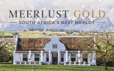Meerlust Gold: SA’s best Merlot