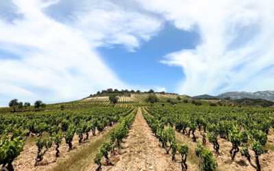 Iberian Bargains: ‘Judge a winery by its cheapest bottle’ – Tim Atkin