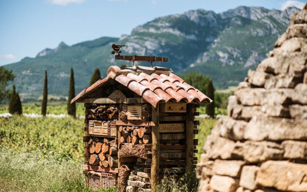 Rioja’s Finca Martelo from Torre de Oña: ‘Lively and Young’