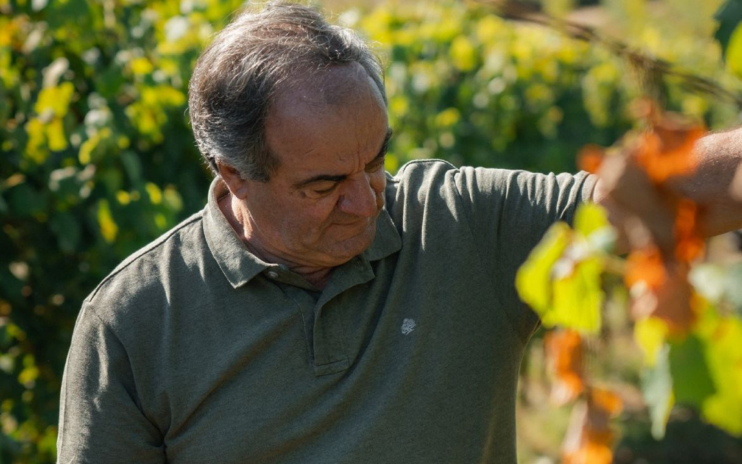Anselmo Mendes: Portugal’s ‘Underappreciated Bargains’