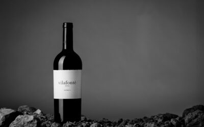 Vilafonté Series C 2022: Pre-release allocations