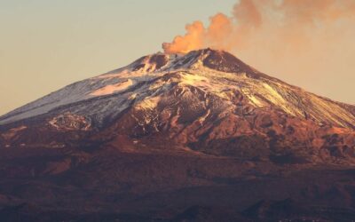Terre Nere, the ‘Gold standard for Etna’