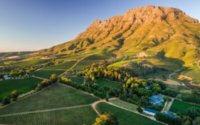 Thelema Cabernet Sauvignon: Exclusive Pre-Release