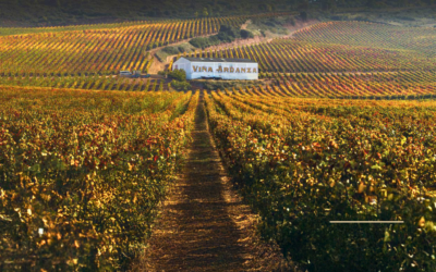 A Killer Red from Spain’s La Rioja Alta: 2017 Viña Ardanza