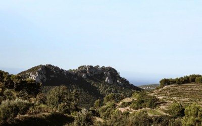 Legendary Domaine Tempier: New Vintages From The Heart of Provence