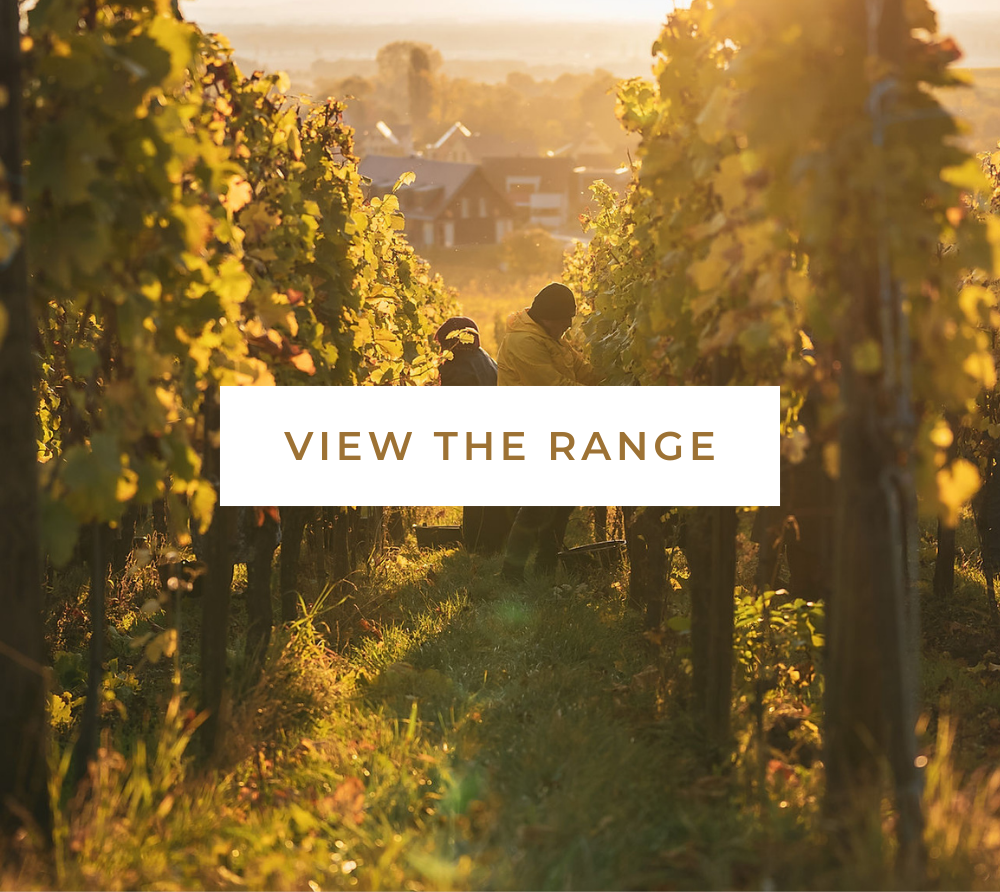 Two vineyard workers harvest grapes in a sunlit vineyard with a distant house in the background. Text overlay reads "View the Range."