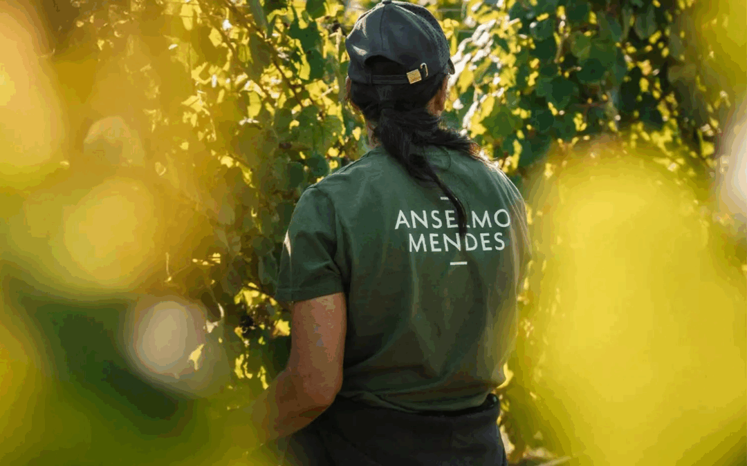 Anselmo Mendes: Alvarinhos from the Godfather of Vinho Verde