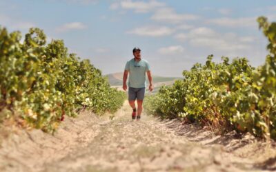 Lourens Family Wines 2024