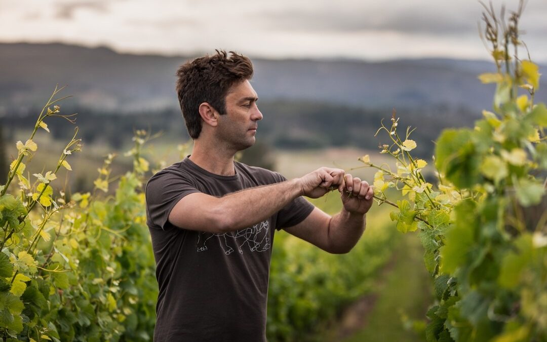 Moya Meaker: SA’s best-kept Chardonnay secret