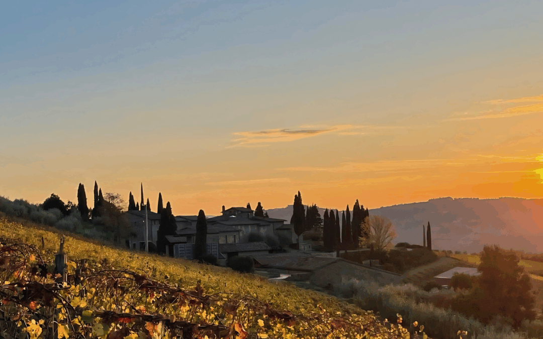 Querciabella Riservas: King of the Tuscan Hills