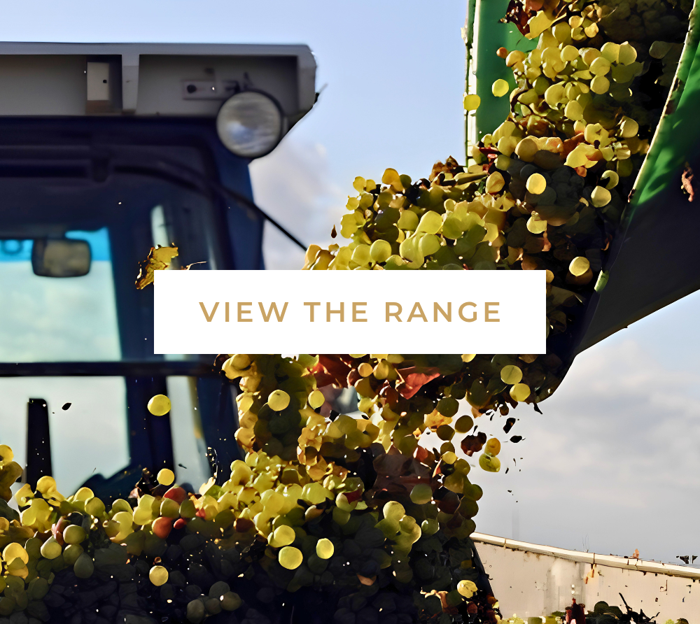 Grapes being poured from a green container into a harvester vehicle under a clear sky.