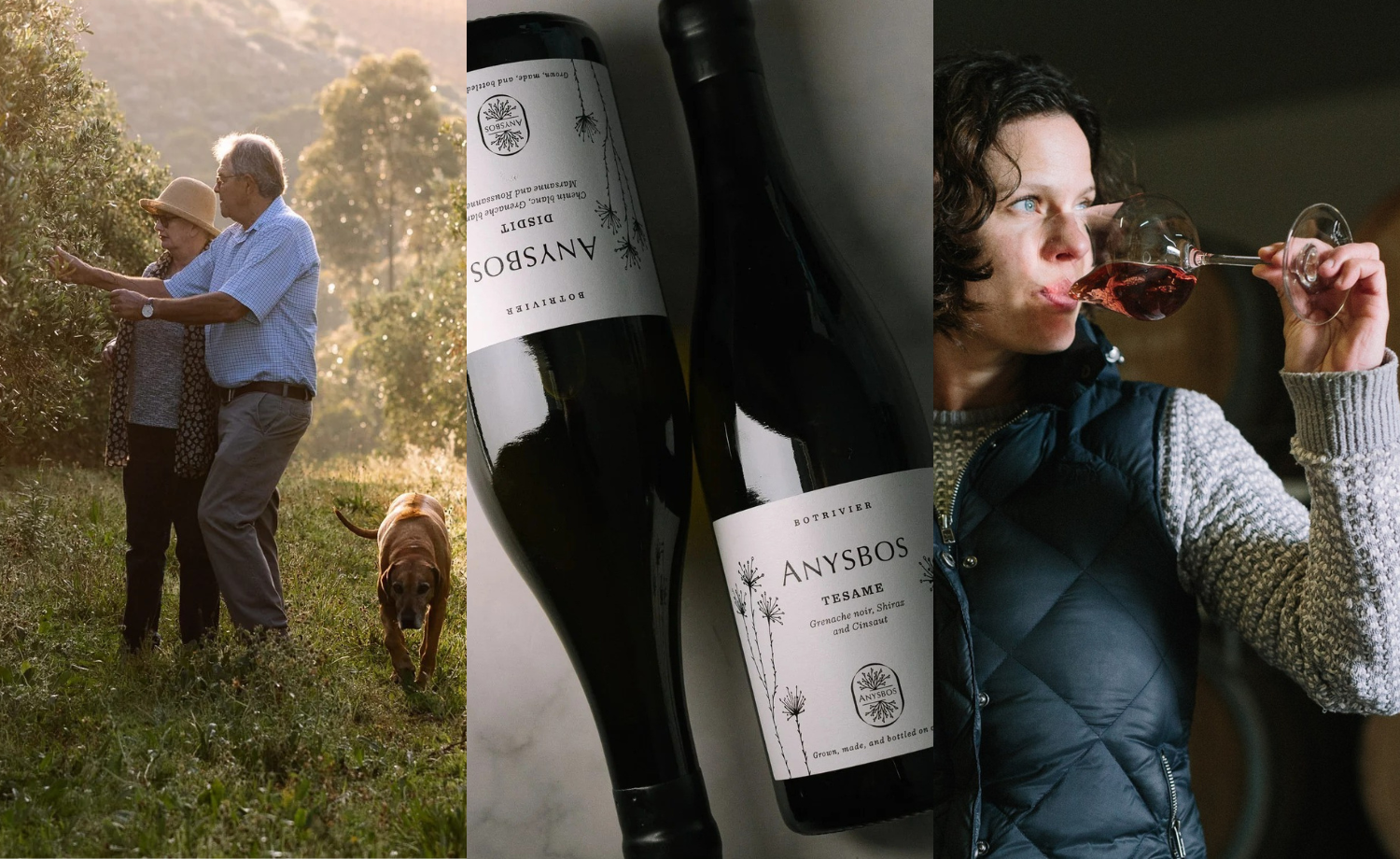 98-point Anysbos blends – ‘Among the country’s best’ (Christian Eedes ...