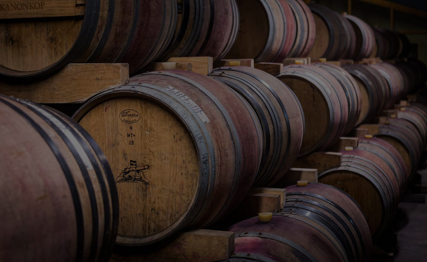 Iconic Kanonkop Paul Sauer 2023: A collector’s favourite - Wine Cellar Plus