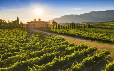 Torre de Oña and their show-stopping modern Riojas