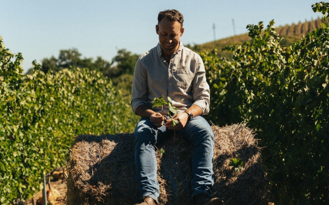 Thistle & Weed Khakibos 2025: ‘Complex, engaging’ and ‘super-tasty’ – CE