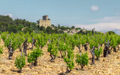 Châteauneuf-du-Pape: King of Reds