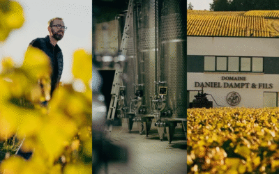 Daniel Dampt: 150 years of Burgundian tradition