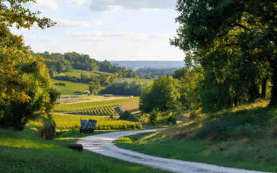 Laroque: The rising star of Saint-Émilion